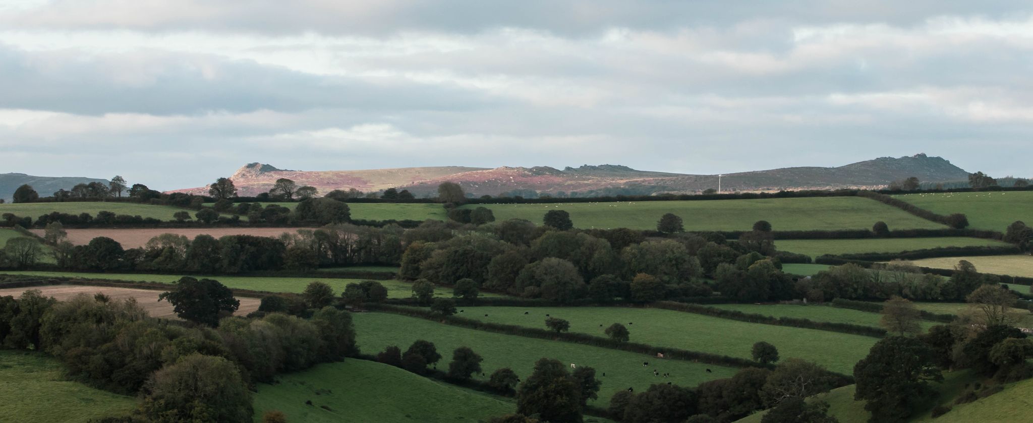 Sharp Tor, Kilmar & Hawks Tor